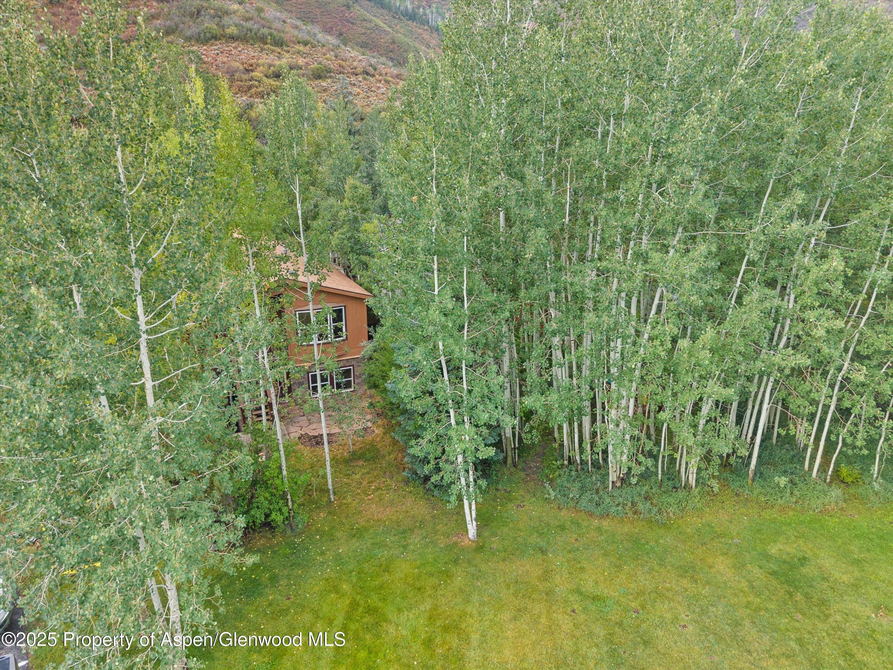 111 Ridge Trail Aspen, CO 81611 - Photo 30 of 37 a aerial view of a house with a yard