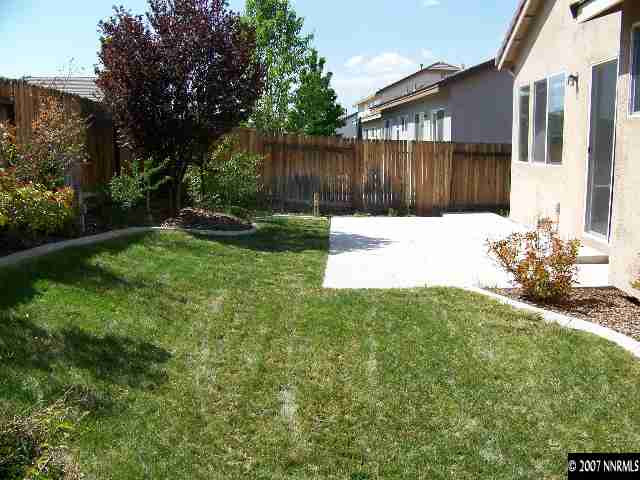 9631 Comanche Moon Drive Reno, NV 89521 - Photo 9 of 9 a view of a backyard with a potted plants and large tree