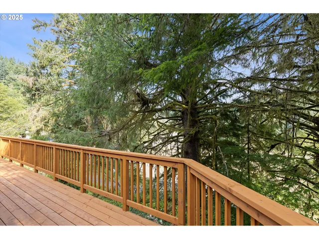 a view of a yard with plants