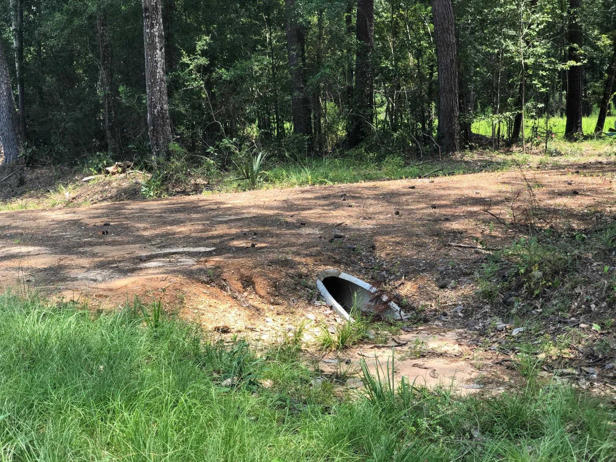 10280 Old Stage Road Stockton, AL 36579 - Photo 2 of 9
