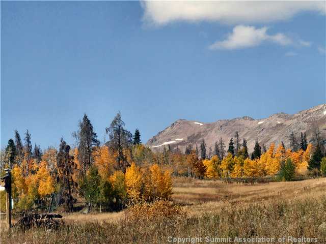 1555 South Ruby Road Silverthorne, CO 80498 - Photo 21 of 25 View.