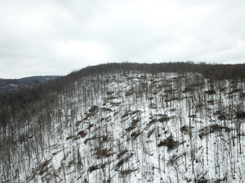 0 Jericho Road Robinson, PA 15949 - Photo 29 of 34 Gallery Image 29