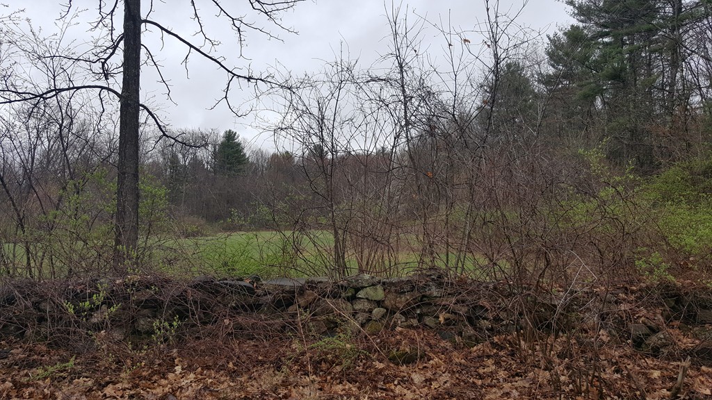 Lot A Lot A Doane Road Ware, MA 01082 - Photo 1 of 1 Gallery Image 1