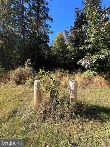 a view of a yard with wooden fence
