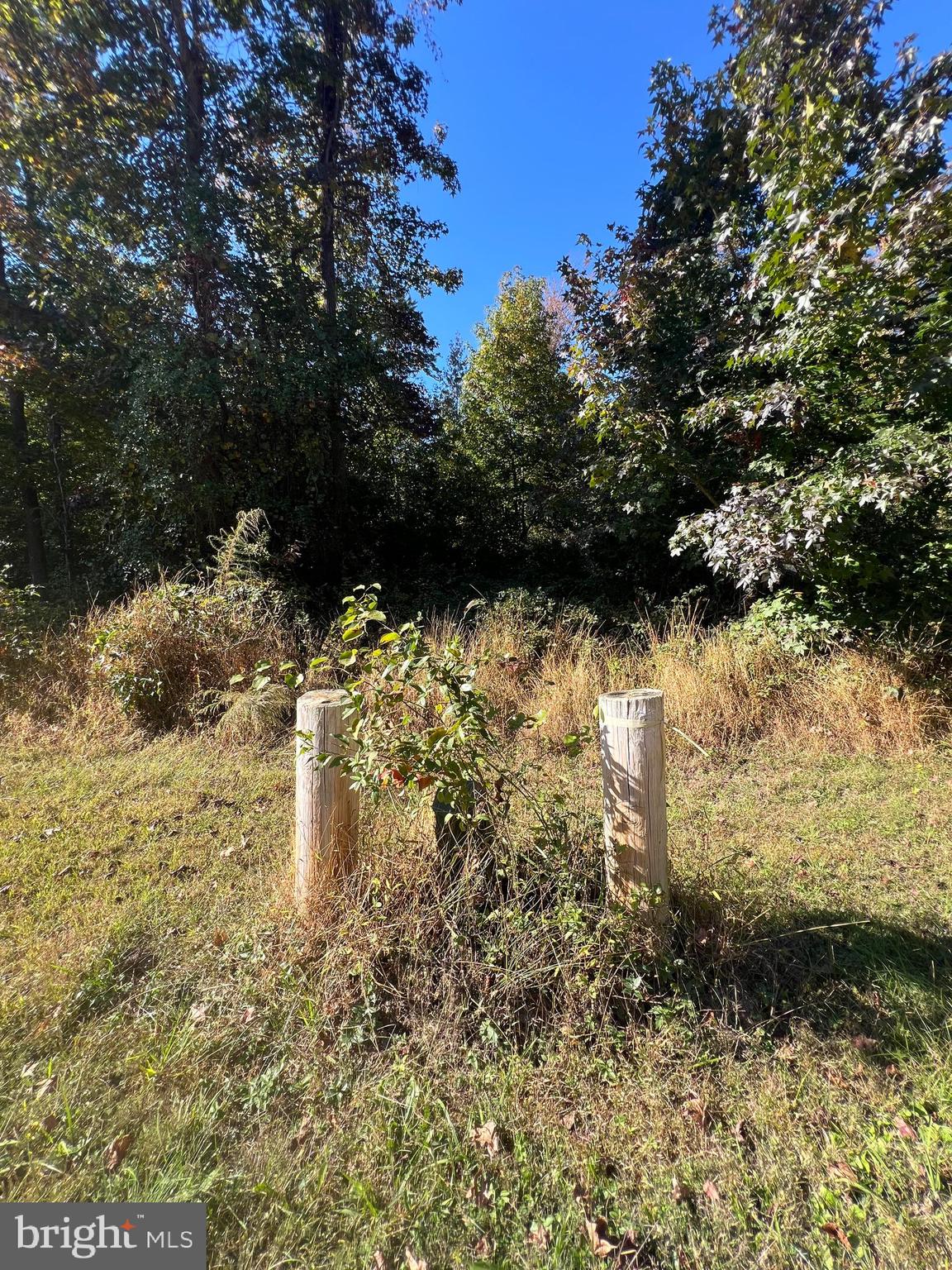 a view of a yard with wooden fence