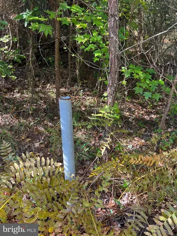 a black and white photo of a field