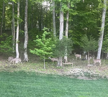 a backyard of a house with table and chairs