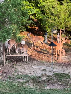 $849,000 | 134 Angels Cove Lane, Lebanon, TN 37087