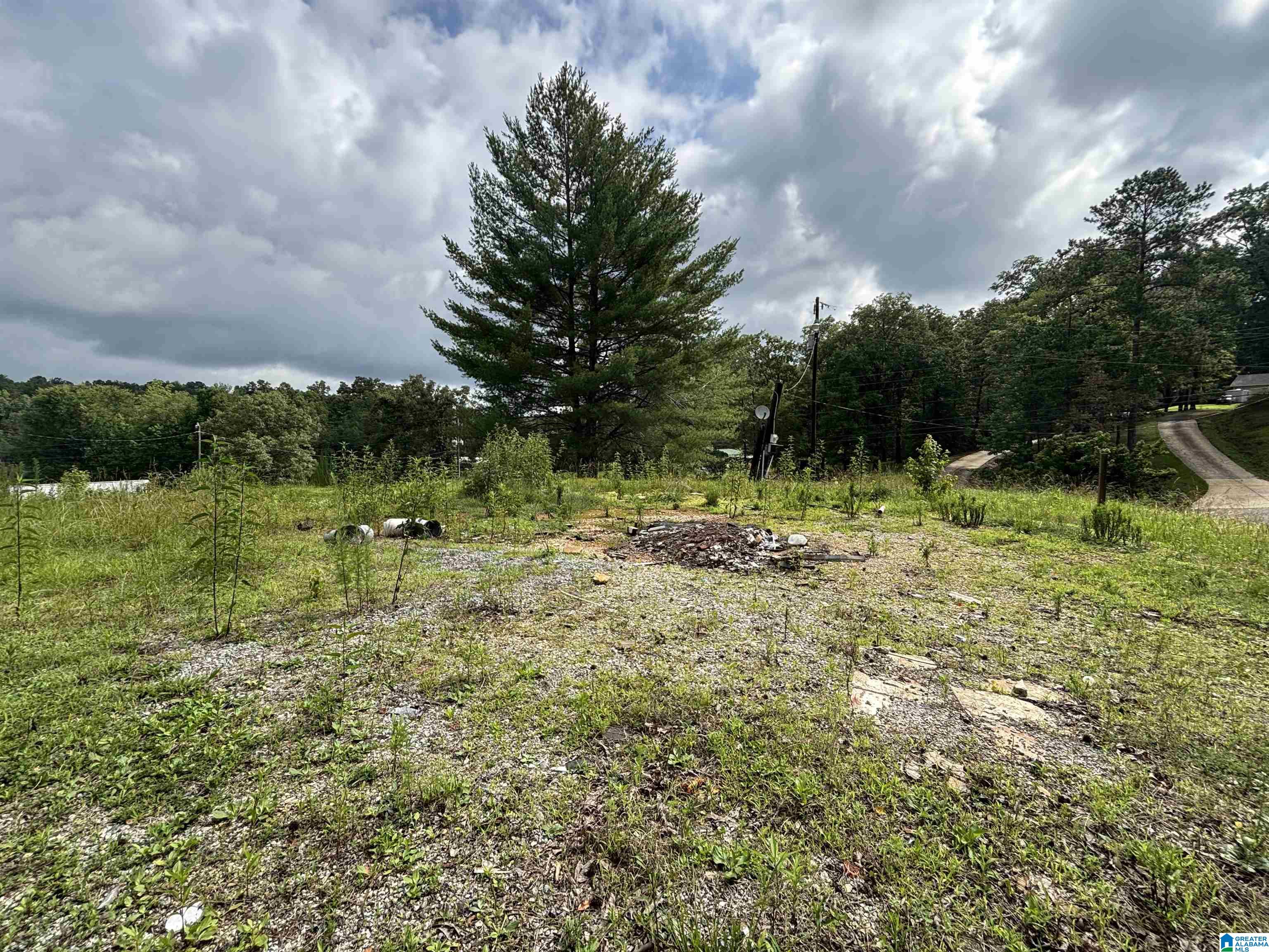 1309 Cherokee Road, Unit 80 / ACRES Pell City, AL 35128 - Photo 4 of 18