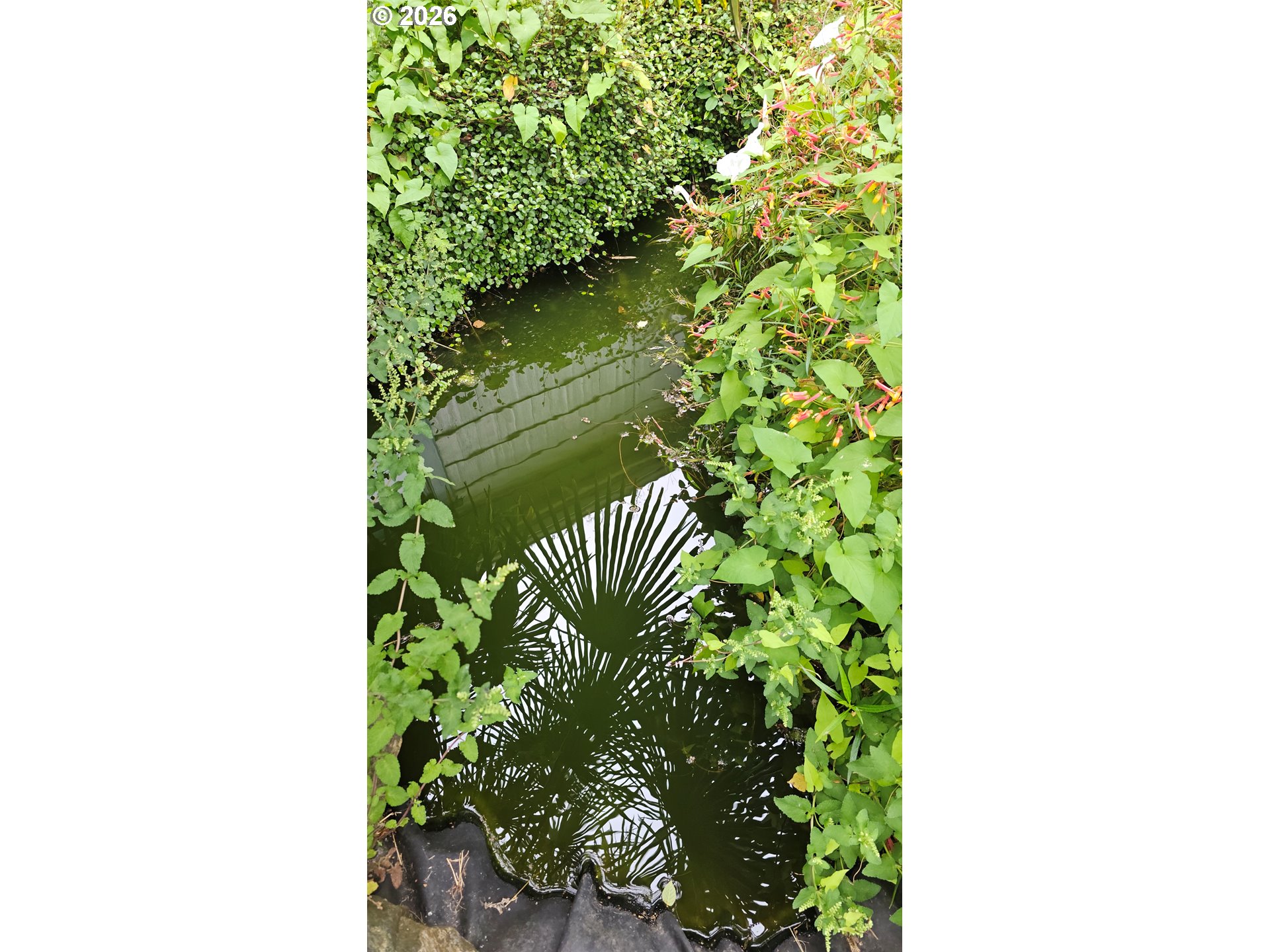 63721 Harriet Road Coos Bay, OR 97420 - Photo 18 of 21 Pond