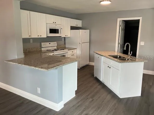 $250,000 | 1219 Snowberger Avenue, Leesburg, FL 34748