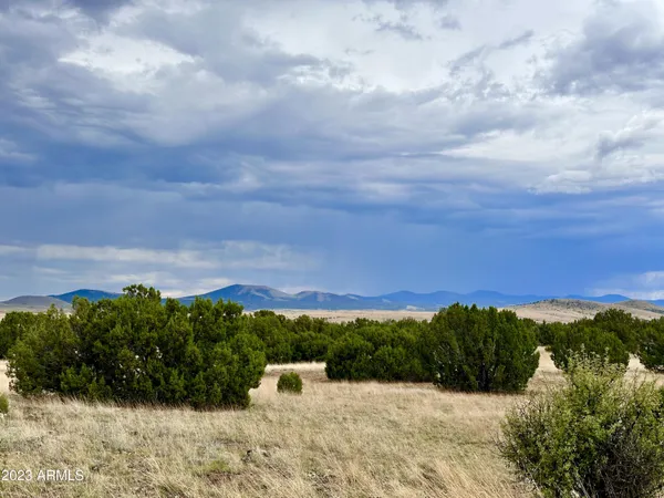 $65,000 | N3440 Concho Az 85924, Unit 42, Concho, AZ 85924