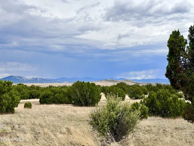 a view of sunset and yard
