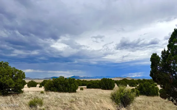 $65,000 | N3440 Concho Az 85924, Unit 42, Concho, AZ 85924