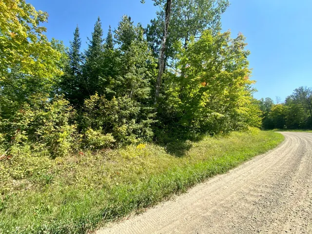 $59,900 | Lot 2 South Gull Lake Rd Port Northeast, Tenstrike, MN 56683