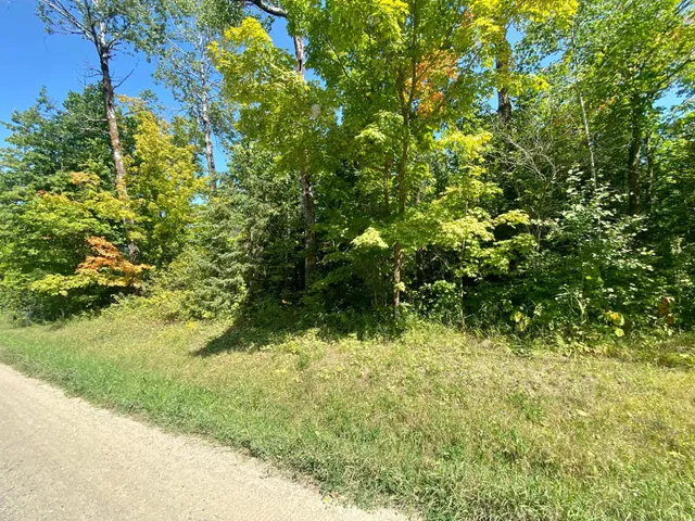 $59,900 | Lot 2 South Gull Lake Rd Port Northeast, Tenstrike, MN 56683