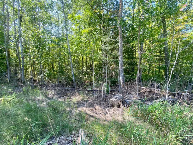 $59,900 | Lot 2 South Gull Lake Rd Port Northeast, Tenstrike, MN 56683