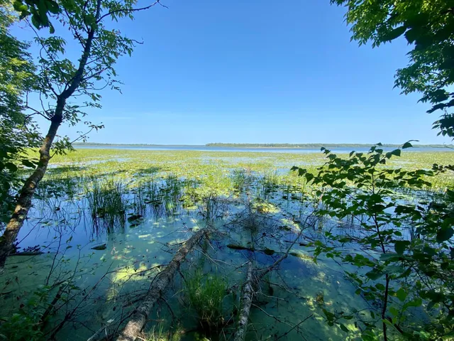 $59,900 | Lot 2 South Gull Lake Rd Port Northeast, Tenstrike, MN 56683