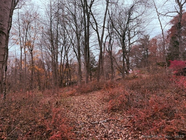 72 D Walnut Street Seymour, CT 06483 - Photo 2 of 9 a big yard with lots of green space