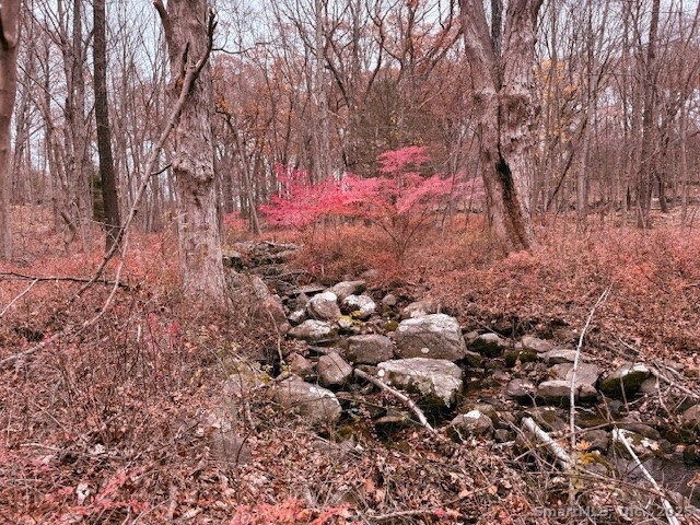 72 D Walnut Street Seymour, CT 06483 - Photo 3 of 9 a view of yard