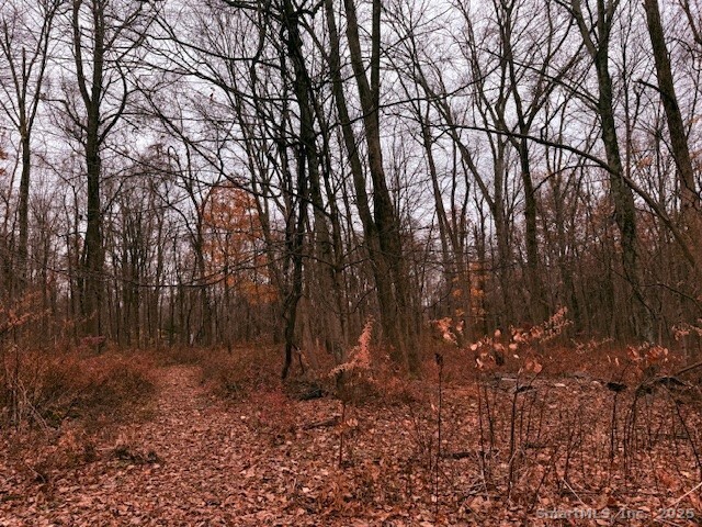 72 D Walnut Street Seymour, CT 06483 - Photo 5 of 9 a backyard of a house with lots of green space