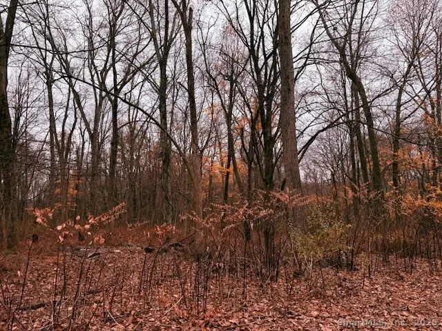 $85,000 | 72 D Walnut Street, Seymour, CT 06483