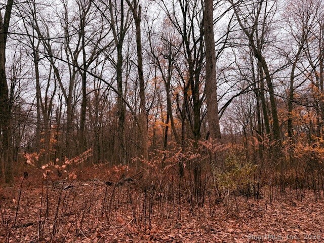 72 D Walnut Street Seymour, CT 06483 - Photo 6 of 9 a view of a yard