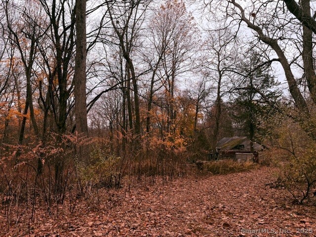 72 D Walnut Street Seymour, CT 06483 - Photo 7 of 9 a backyard of a house with lots of green space