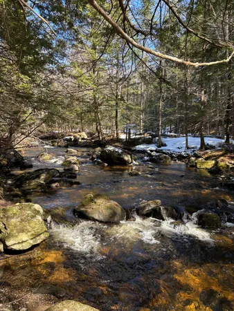 $55,000 | 4 Bog Brook Loop, West Paris, ME 04289