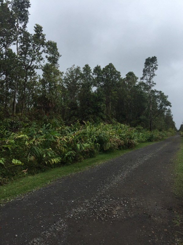 2 Apuakehau Road Pahoa, HI 96778 - Photo 1 of 2 Gallery Image 1