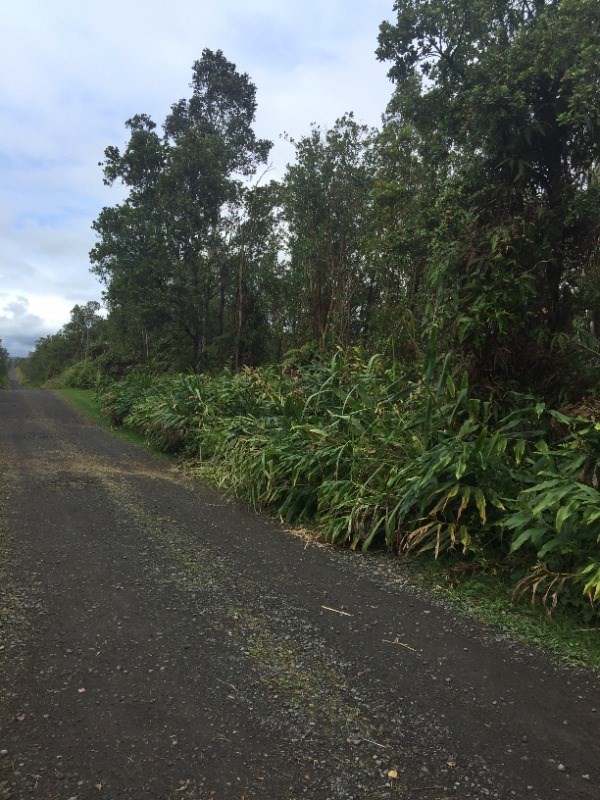 2 Apuakehau Road Pahoa, HI 96778 - Photo 2 of 2 Gallery Image 2