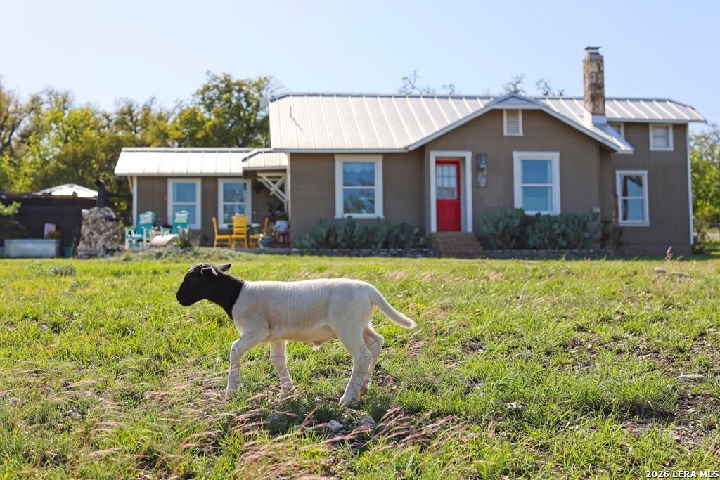 283 2nd Street Harper, TX 78631 - Photo 3 of 46 a front view of house with yard and outdoor seating