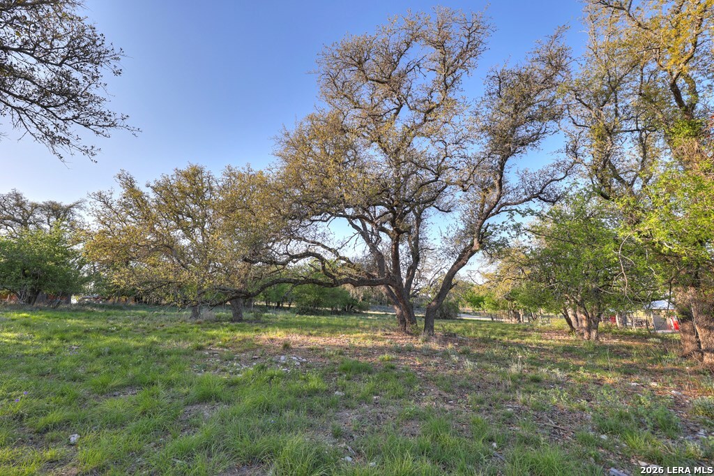 283 2nd Street Harper, TX 78631 - Photo 38 of 46 a view of yard with trees
