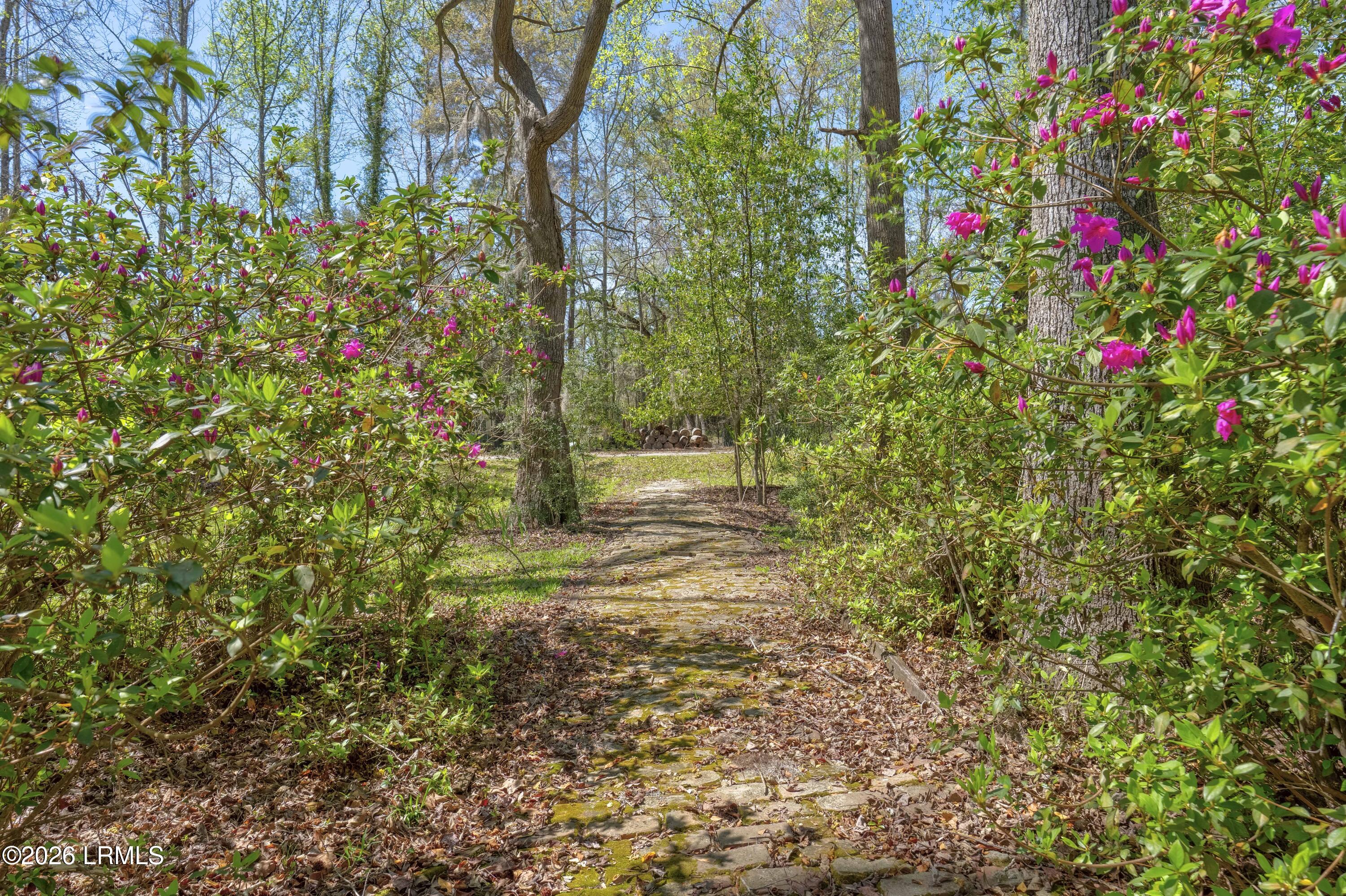 841 Googe Street Allendale, SC 29810 - Photo 15 of 41 Allendale (16 of 35)