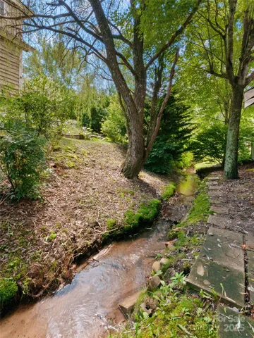 a view of a yard with plants and a large tree