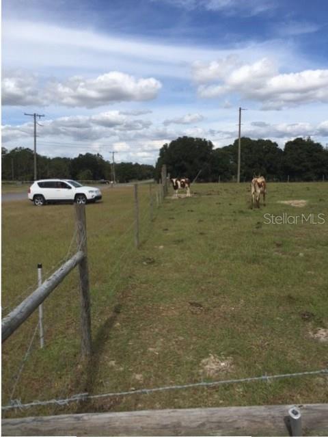 21142 Keene Road Wimauma, FL 33598 - Photo 1 of 1 Gallery Image 1