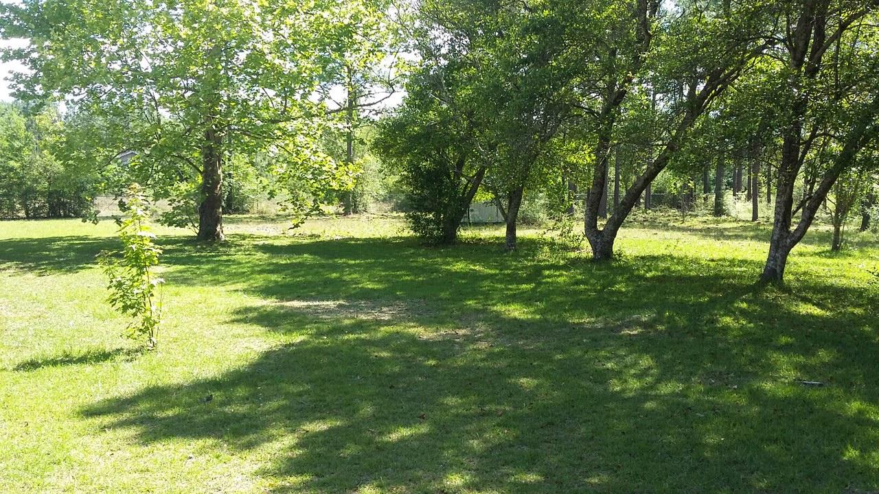 5818 Flamingo Road Crestview, FL 32539 - Photo 16 of 16 20160504_151319