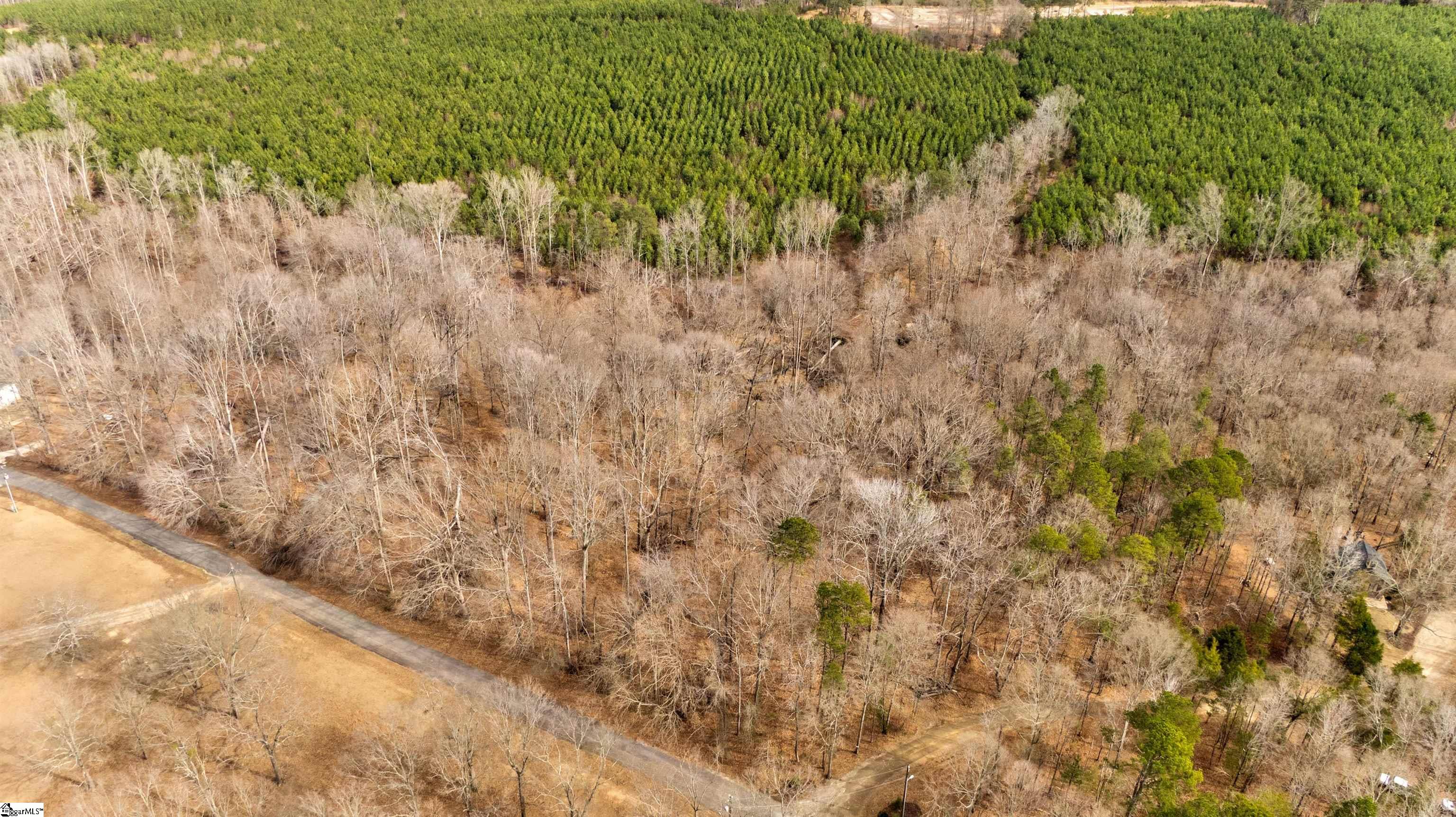 218 Lakeview Circle Woodruff, SC 29388 - Photo 5 of 21