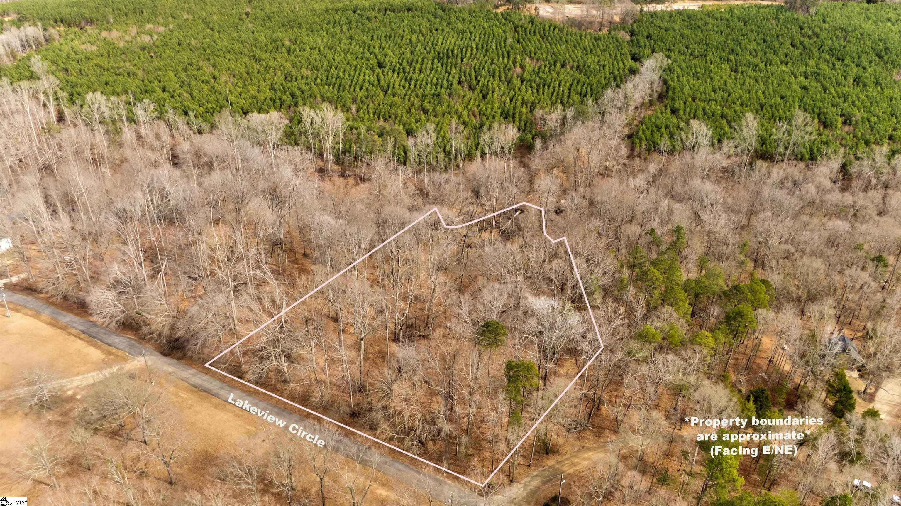 218 Lakeview Circle Woodruff, SC 29388 - Photo 6 of 21