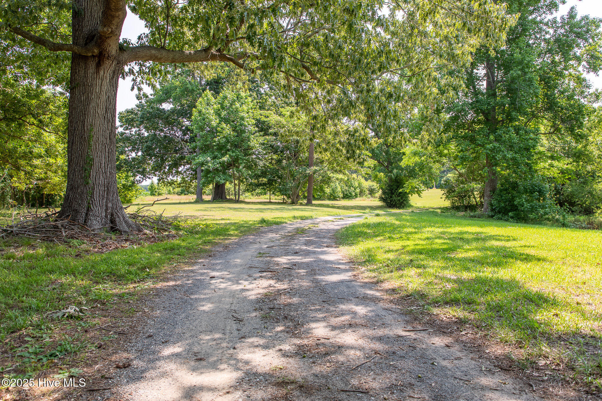 232 Shipyard Road Hertford, NC 27944 - Photo 12 of 39 driveway
