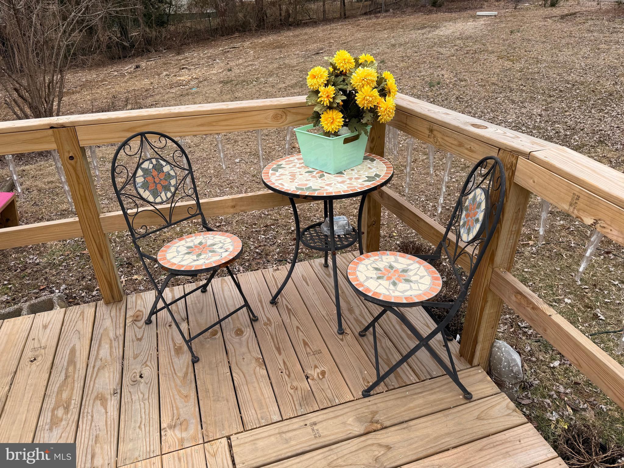 13744 Long Branch Road Woodford, VA 22580 - Photo 5 of 19 Ramp Landing