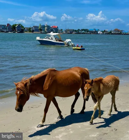 $249,900 | 12623 Shell Mill Road, Unit 56, Bishopville, MD 21813