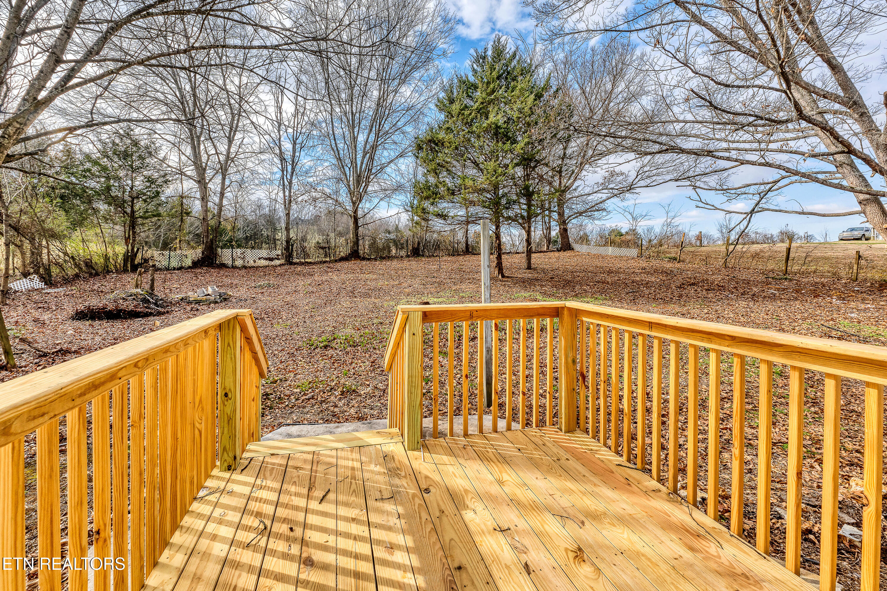 533 Disco Loop Road Friendsville, TN 37737 - Photo 18 of 19 DSC05645