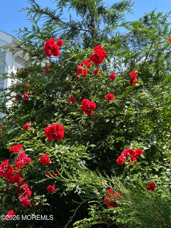 $7,000 | 82 3rd Street, Fair Haven, NJ 07704