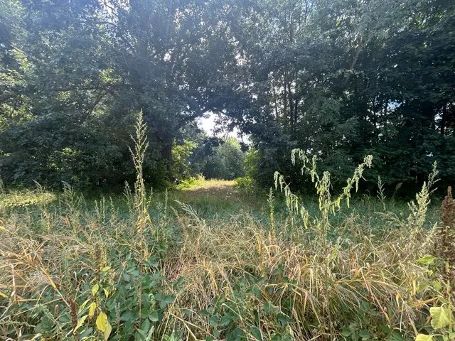 $700,000 | V/l V/l M-66, Athens, MI 49011