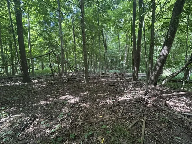 $700,000 | V/l V/l M-66, Athens, MI 49011