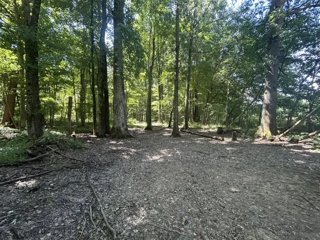 $700,000 | V/l V/l M-66, Athens, MI 49011