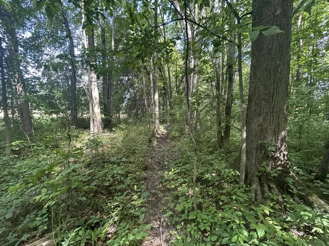 $700,000 | V/l V/l M-66, Athens, MI 49011