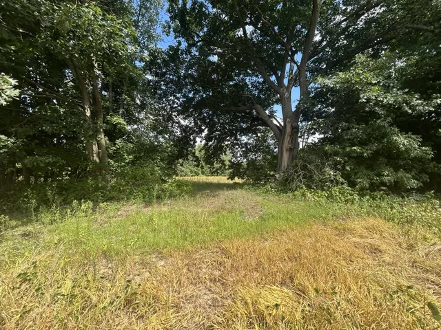 $700,000 | V/l V/l M-66, Athens, MI 49011