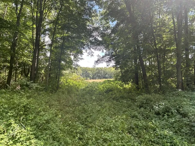 $700,000 | V/l V/l M-66, Athens, MI 49011